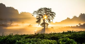 7 Steps To Awaken Your Kundalini