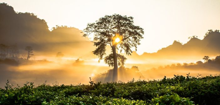 7 Steps To Awaken Your Kundalini
