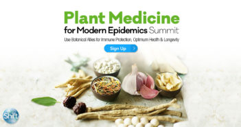 Plant Medicine for Modern Epidemics Summit