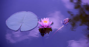 Guided Meditation for Anxiety Release