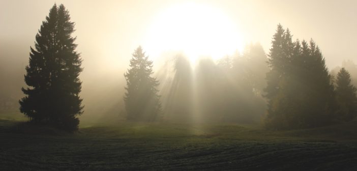 Healing White Light Meditation With Loula