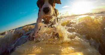 Letting Go and Building Trust Guided Meditation