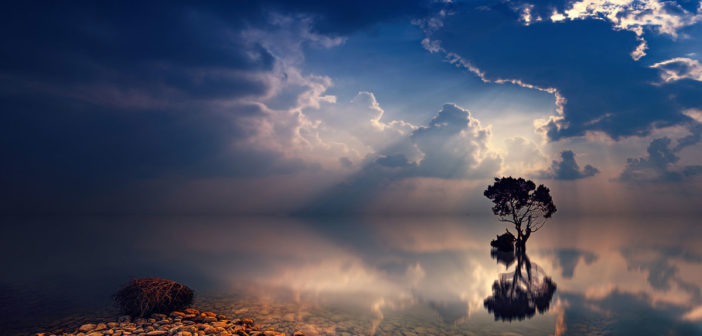 Negativity Release Guided Meditation