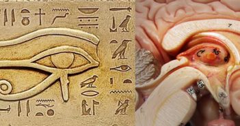5 Ways To Activate Your Pineal Gland