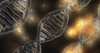 How To Potentiate Your DNA