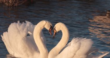 Tantra Meditation For Self-Love